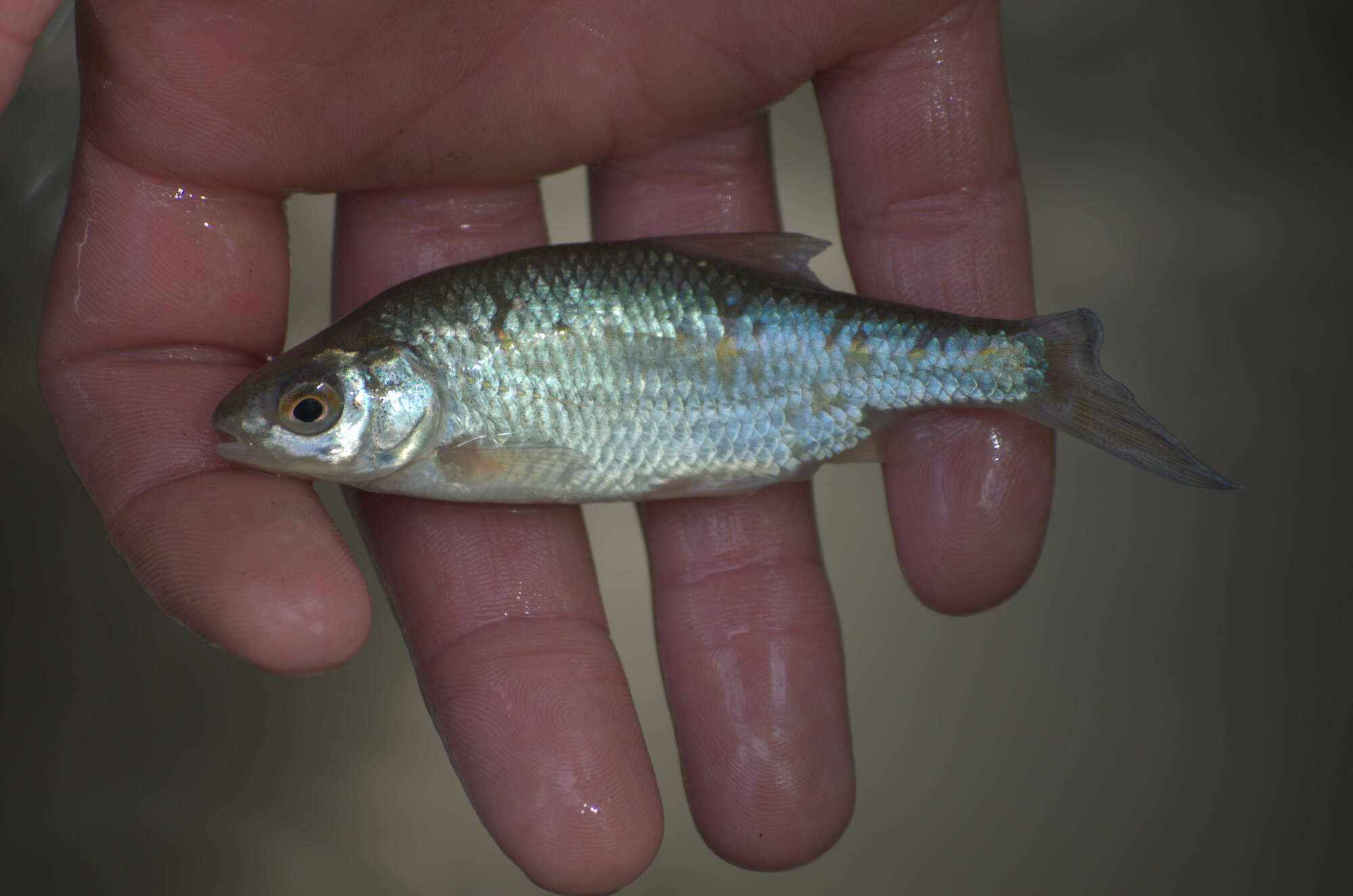 image from Mitmachen!