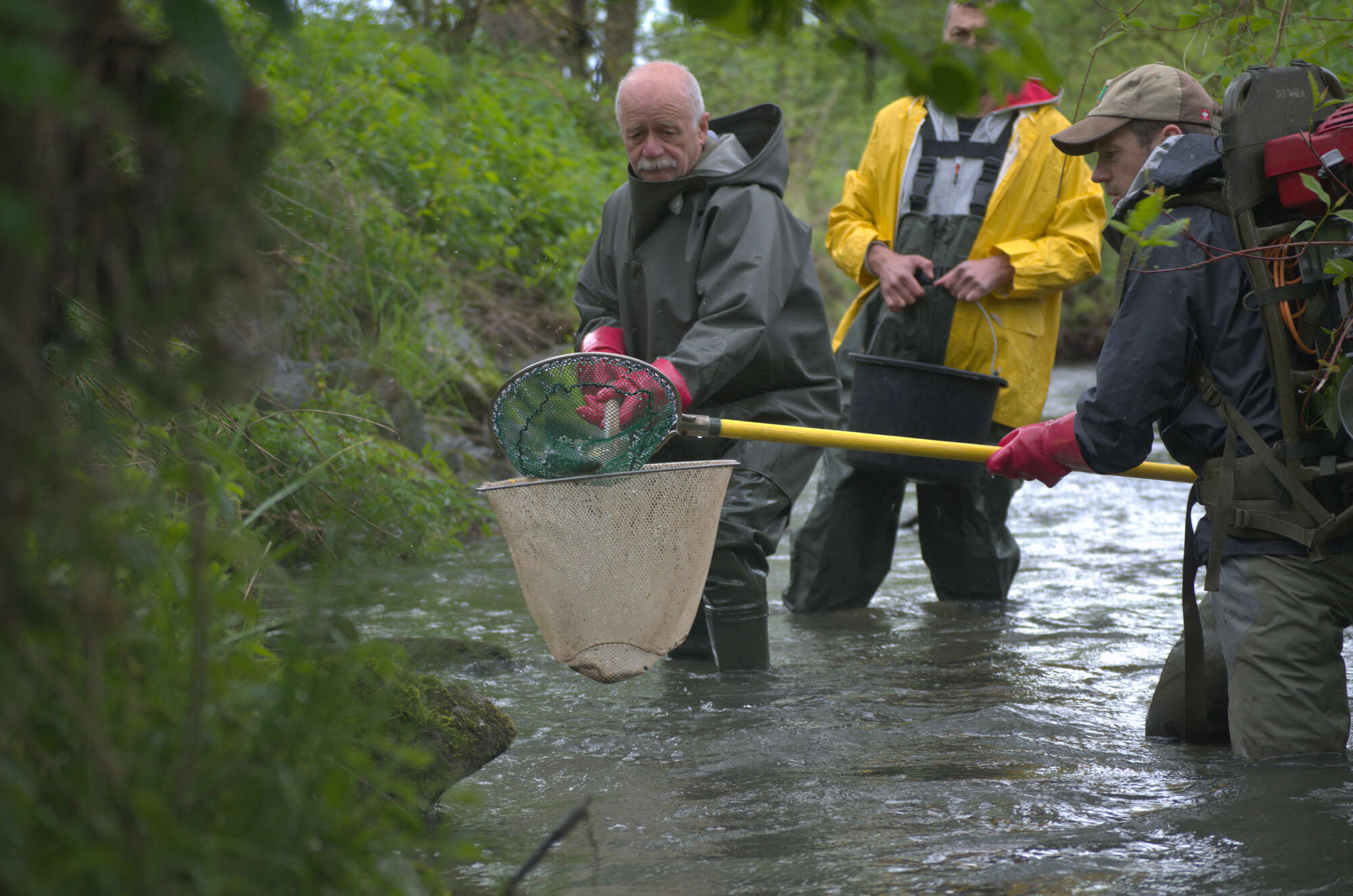 image from Unterstützen!